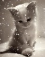 /album/fotogaleria/e7rmoyn3-zoxee-com-jpg/