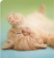 /album/fotogaleria/home16-jpg/